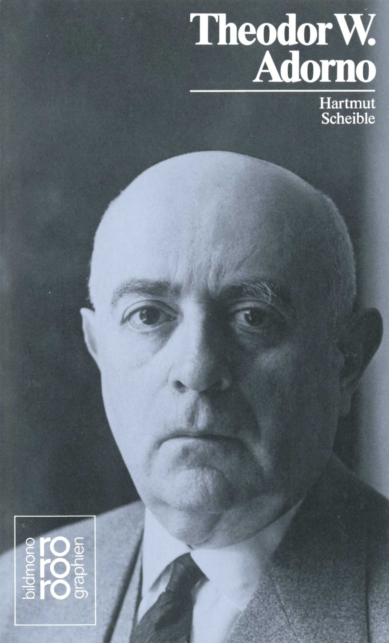 Theodor W. Adorno (Paperback)