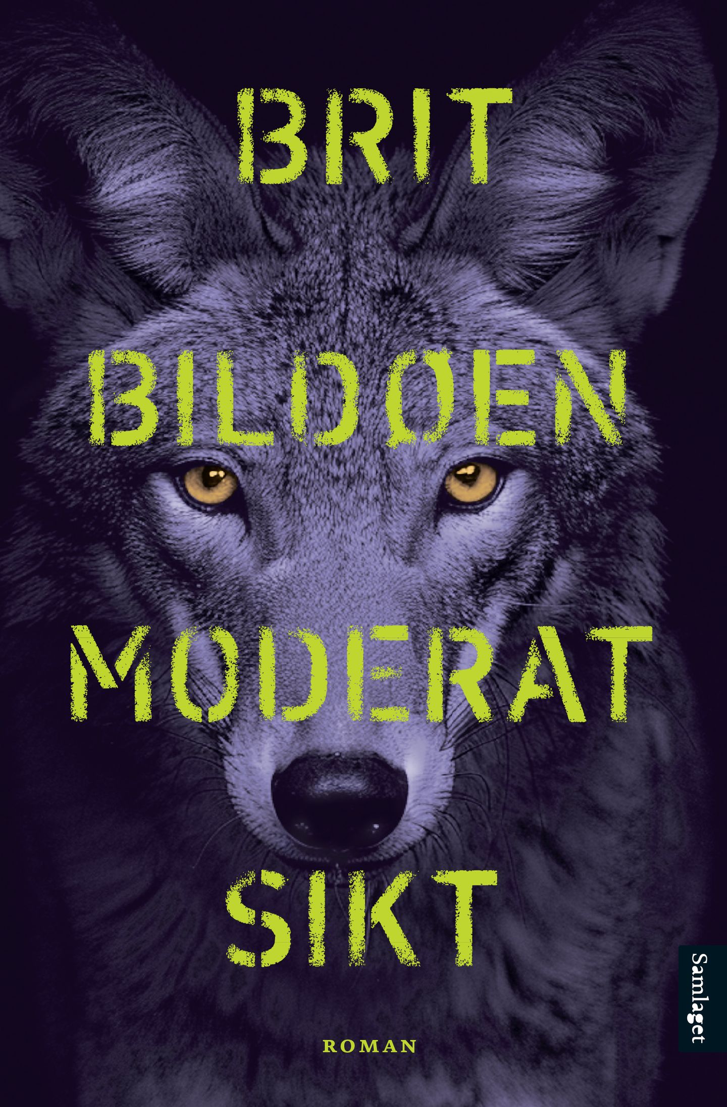 Moderat sikt (Hardcover)