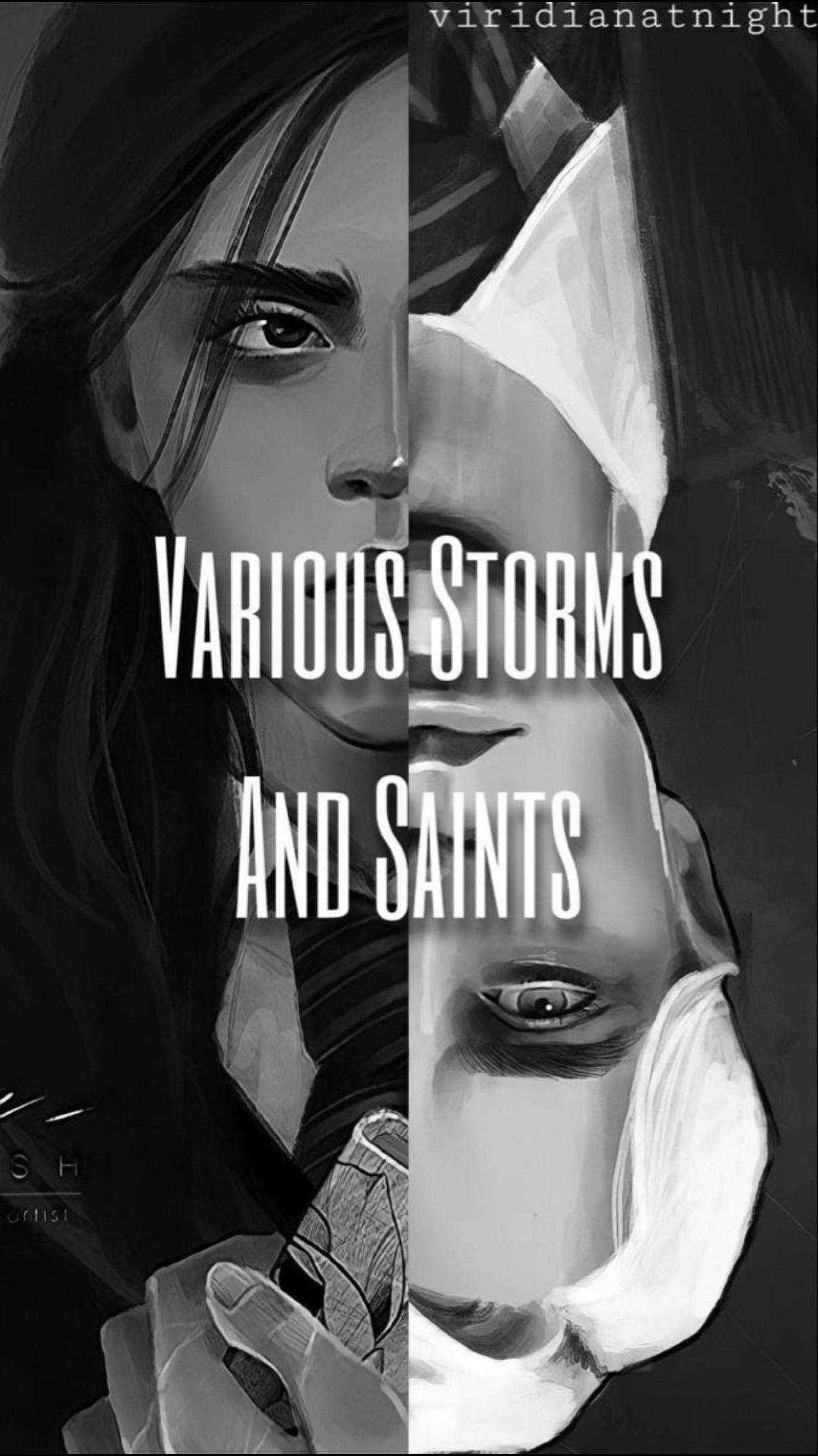 Various storms and saints (ebook)