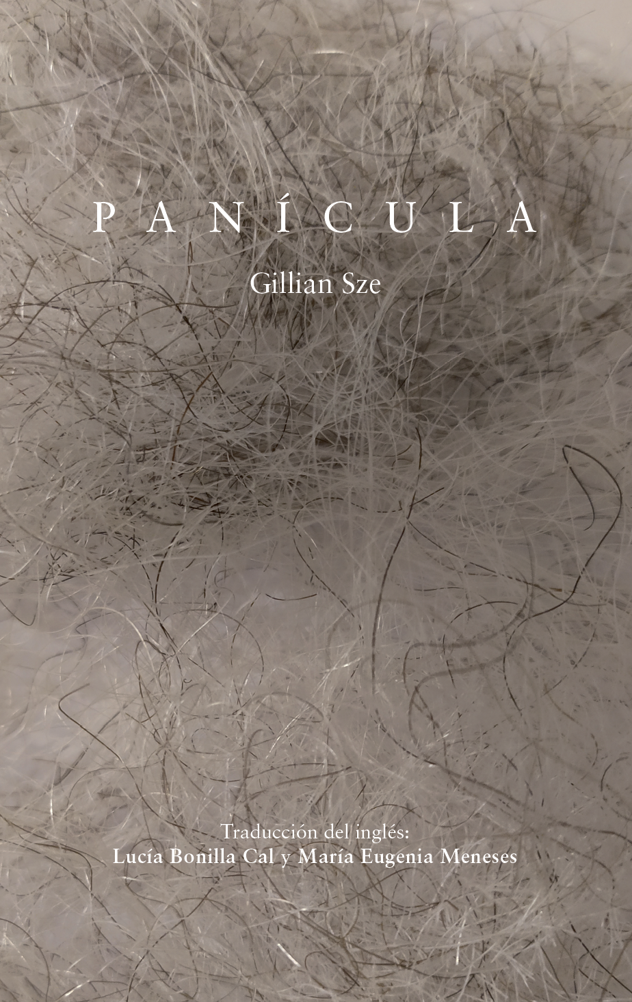 Panícula (Paperback)