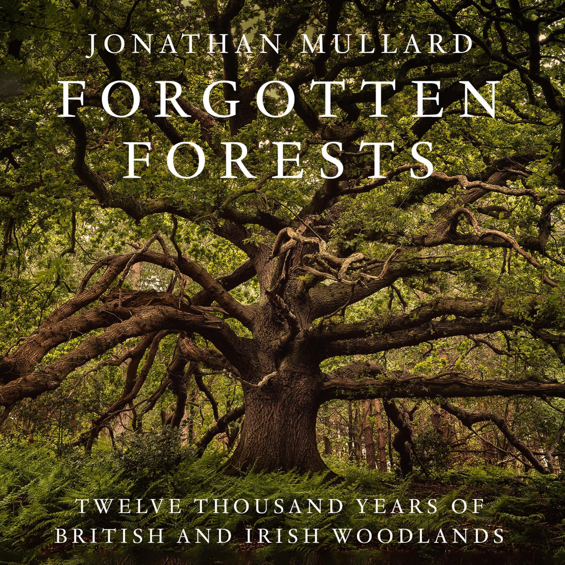 Forgotten Forests: Twelve Thousand Years of British and Irish Woodlands (Audible Audio)
