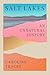Salt Lakes by Caroline Tracey