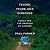 Fevers, Feuds, and Diamonds: Ebola and the Ravages of History