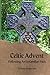 Celtic Advent: Following an Unfamiliar Path