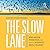 The Slow Lane: Why Quick Fixes Fail and How to Achieve Real Change