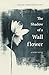 The Shadow of a Wallflower