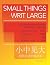 Small Things Writ Large: An Intermediate Reader of Modern Chinese (The Princeton Language Program: Modern Chinese)