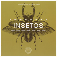 Insetos (Paperback)
