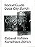 Pocket Guide Dada City Zurich