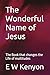 The Wonderful Name of Jesus: The Book that changes the Life of multitudes