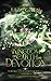 A Kingdom of Earth and Devotion: Portals of Science and Magic Book 2 (A Portal Urban Fantasy Adventure)