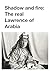 Shadow and fire: The real Lawrence of Arabia (History Retold Book 1)