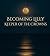 Becoming Lilly Keeper Of Th...