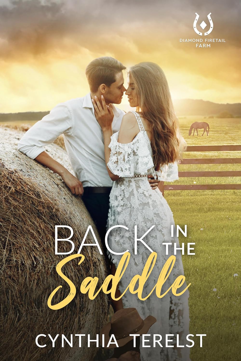 Back in the Saddle (Diamond Firetail Farm #1)