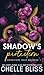 Shadow's Protection (Hurricane Heat MC)