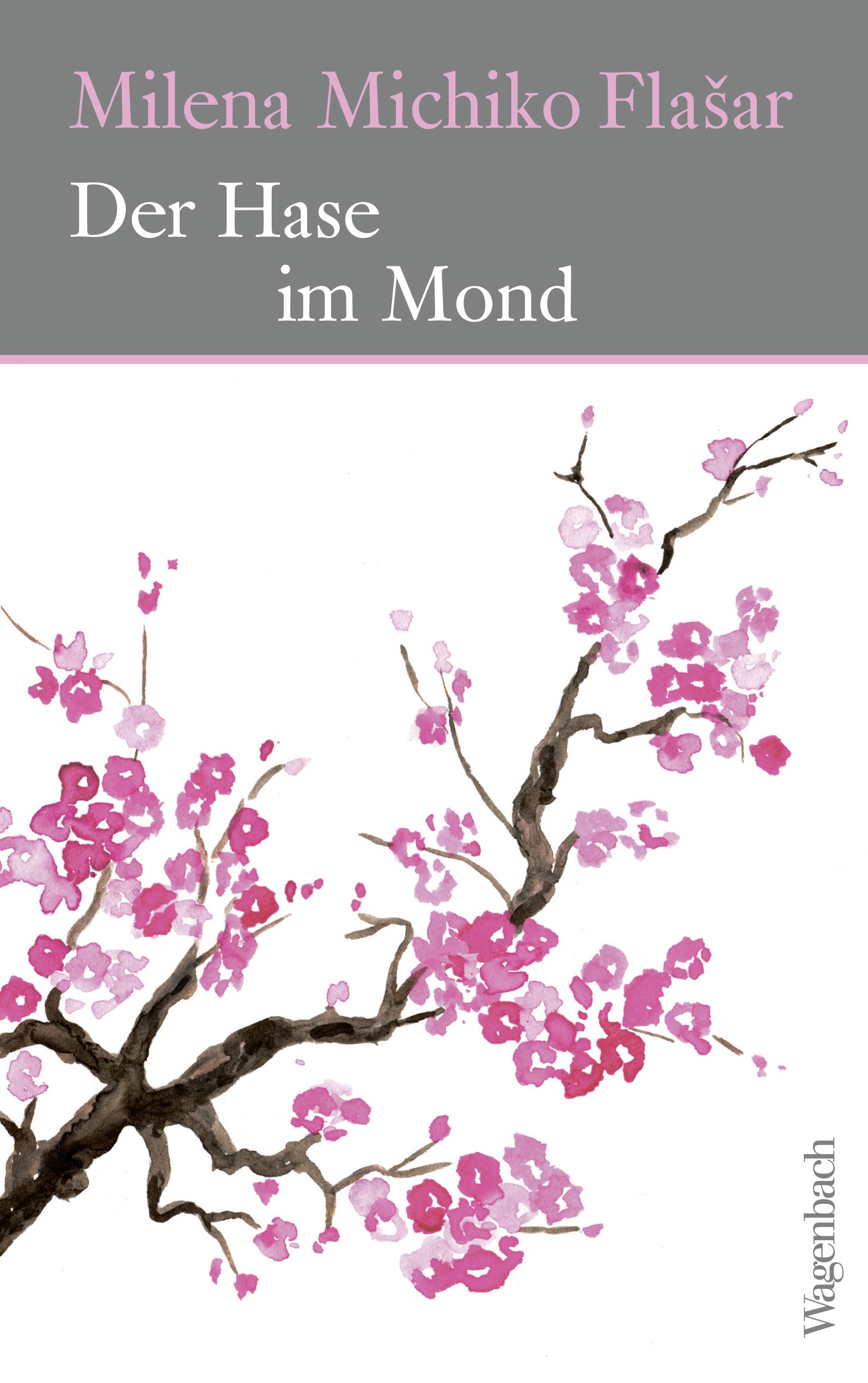 Der Hase im Mond (Hardcover)