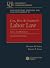 2025 Statutory Appendix and Case Supplement to Cox, Bok & Gor... by Matthew Finkin