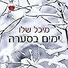 ימים בסערה