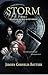 Storm (De jager, de dief & het baken Book 1) (Dutch Edition)