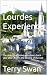 The Lourdes Experience by Terry Swan
