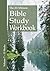 The 20-Minute Bible Study Workbook - Volume 7 by J. A. Marucci