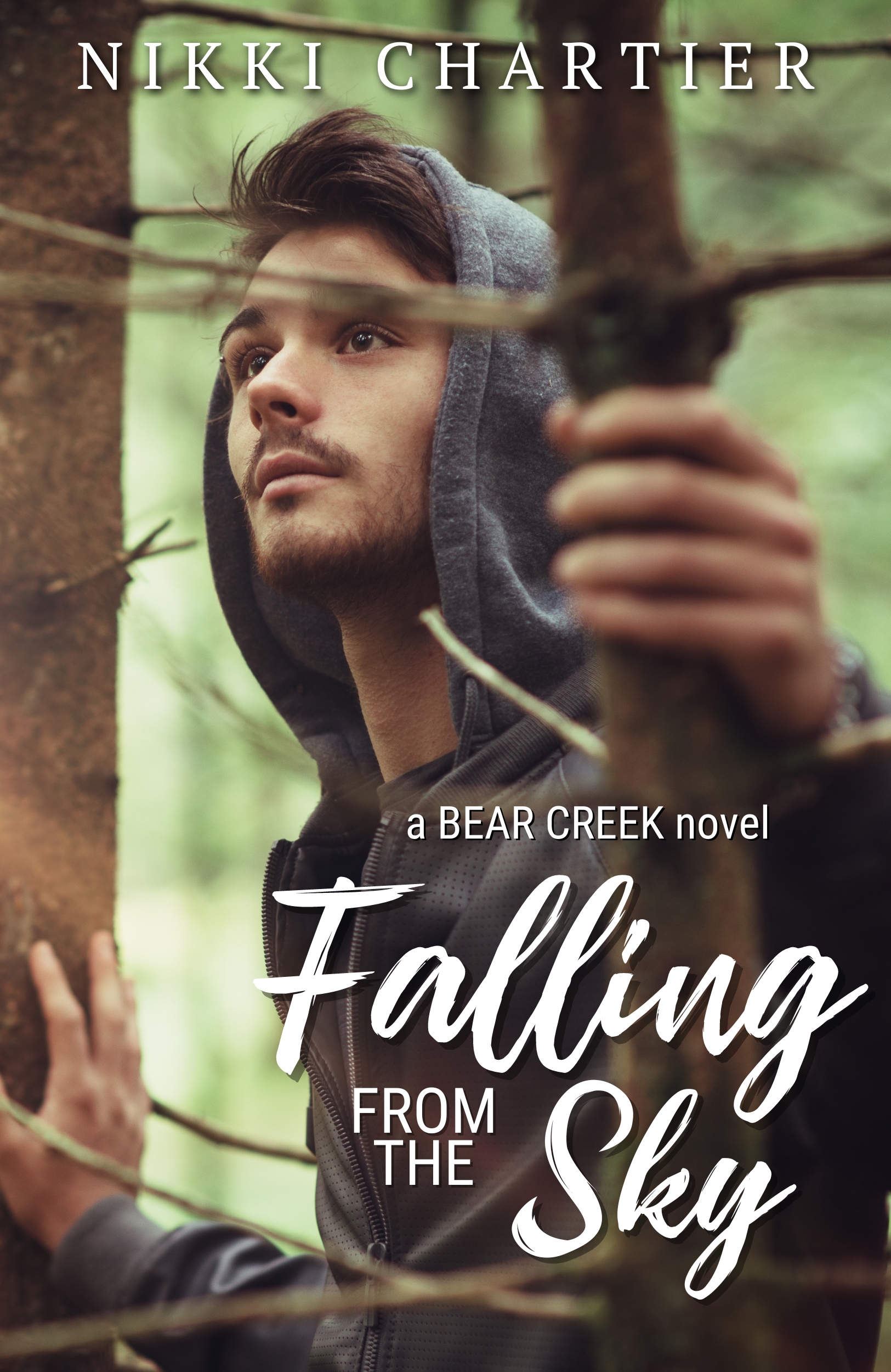 Falling From The Sky (Bear Creek, #1)