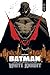 Batman Beyond the White Knight