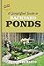 A Simplified Guide to Backyard Ponds by Laura Di Marco