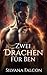 Zwei Drachen für Ben (Schic...
