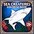 Sea Creatures Coloring Book...