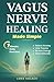 Vagus Nerve Healing Made Si...