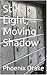 Still Light, Moving Shadow by Phoenix Drake
