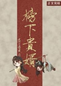 Looking for A Noble Son-In-Law