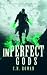 imPerfect Gods by C N Rowan