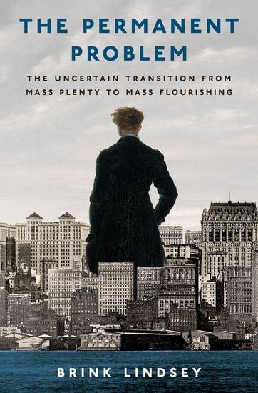 The Permanent Problem: The Uncertain Transition from Mass Plenty to Mass Flourishing (Hardcover)