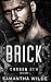 Brick (Chosen Few #5)