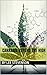 Cannabis beyond the high by Lee Stevenson