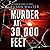 Murder at 30,000 Feet