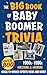 The Big Book of Baby Boomer Trivia by Jeff Allen