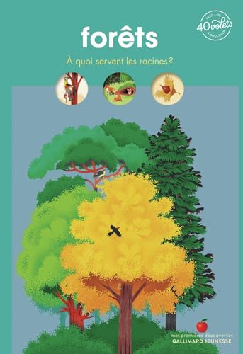 Forêts: À quoi servent les racines ? (Paperback)