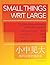 Small Things Writ Large: An Intermediate Reader of Modern Chinese (The Princeton Language Program: Modern Chinese)