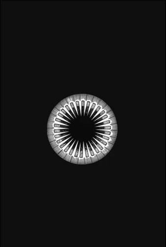 Önmegváltástan (Paperback)