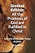 All the Promises of God are Fulfilled in Christ: How the Whole Bible Points to Jesus (Christ Centered Theology)
