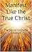 Manifest Like the True Christ by J.J. Wren