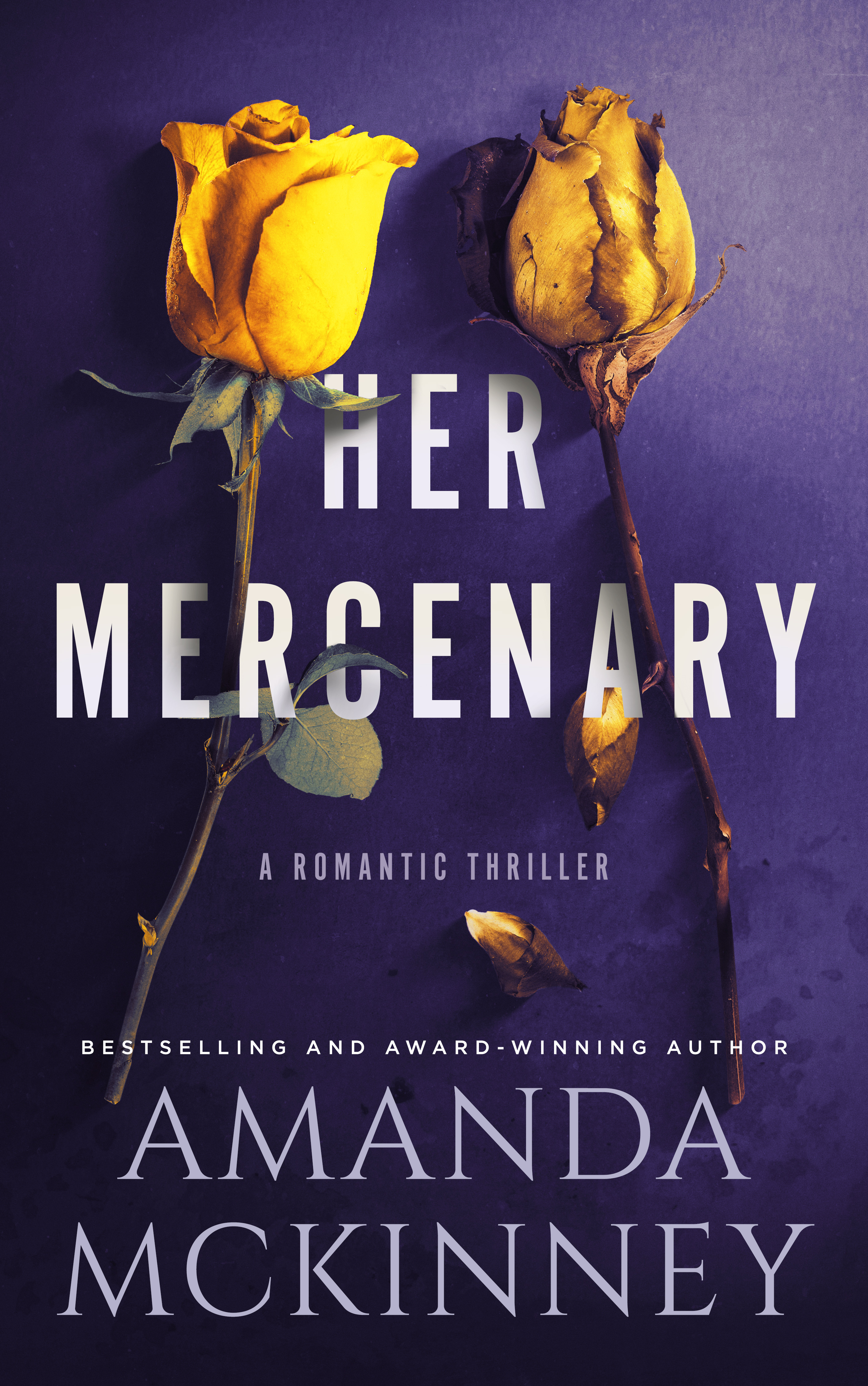 Her Mercenary (Steele Shadows Mercenaries, #1)