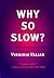 Why So Slow?: The Advanceme...