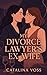 My Divorce Lawyer's Ex-Wife...