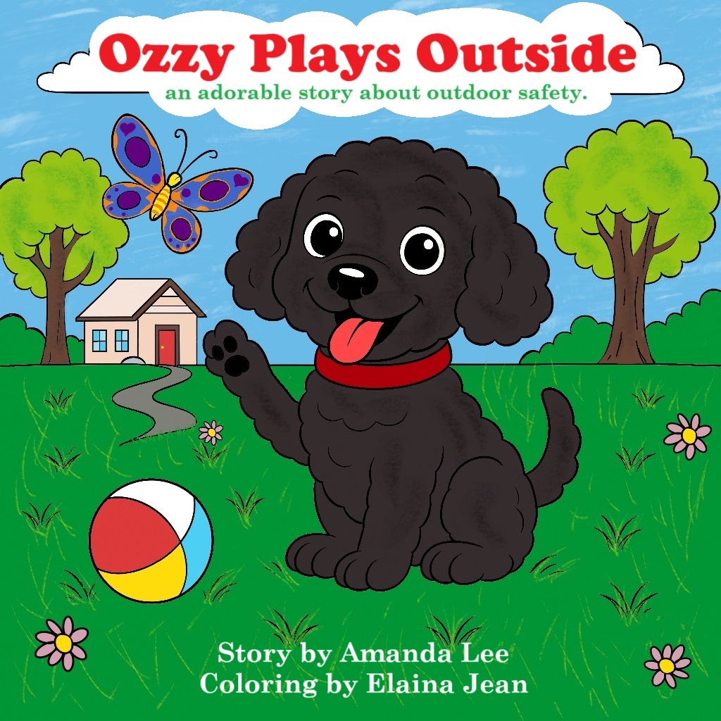 Ozzy Plays Outside (Ozzy the Toy Poodle #2)