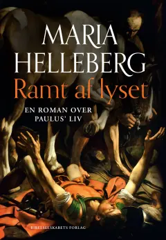 Ramt af lyset (Hardcover)