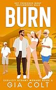 BURN: Hot Forbidden MMMF Polyamorous Quad